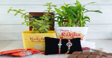 Embrace 9 Urban Gardening Rakhi Ideas this Raksha Bandhan