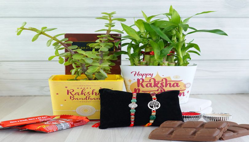 Embrace 9 Urban Gardening Rakhi Ideas this Raksha Bandhan